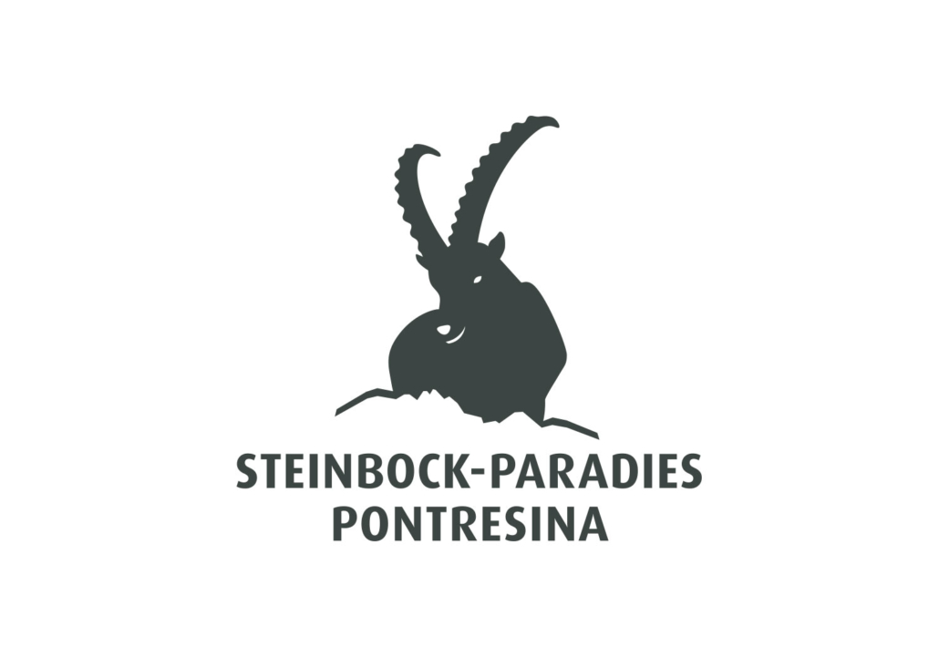 Logo Steinbock-Paradies Pontresina